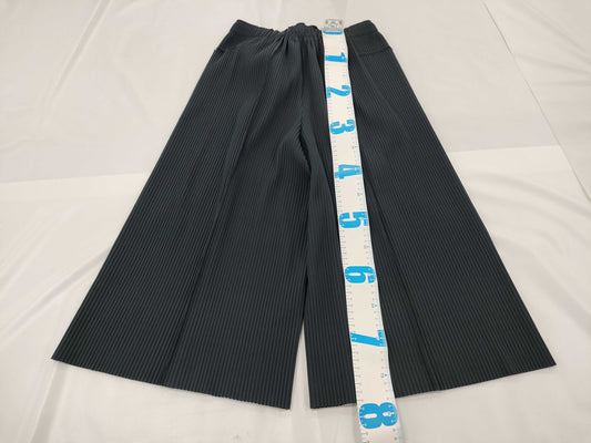 ISSEY MIYAKE Inside Pants Pants