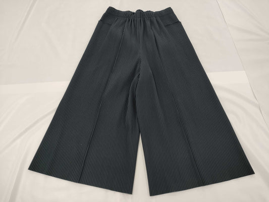 ISSEY MIYAKE Inside Pants Pants