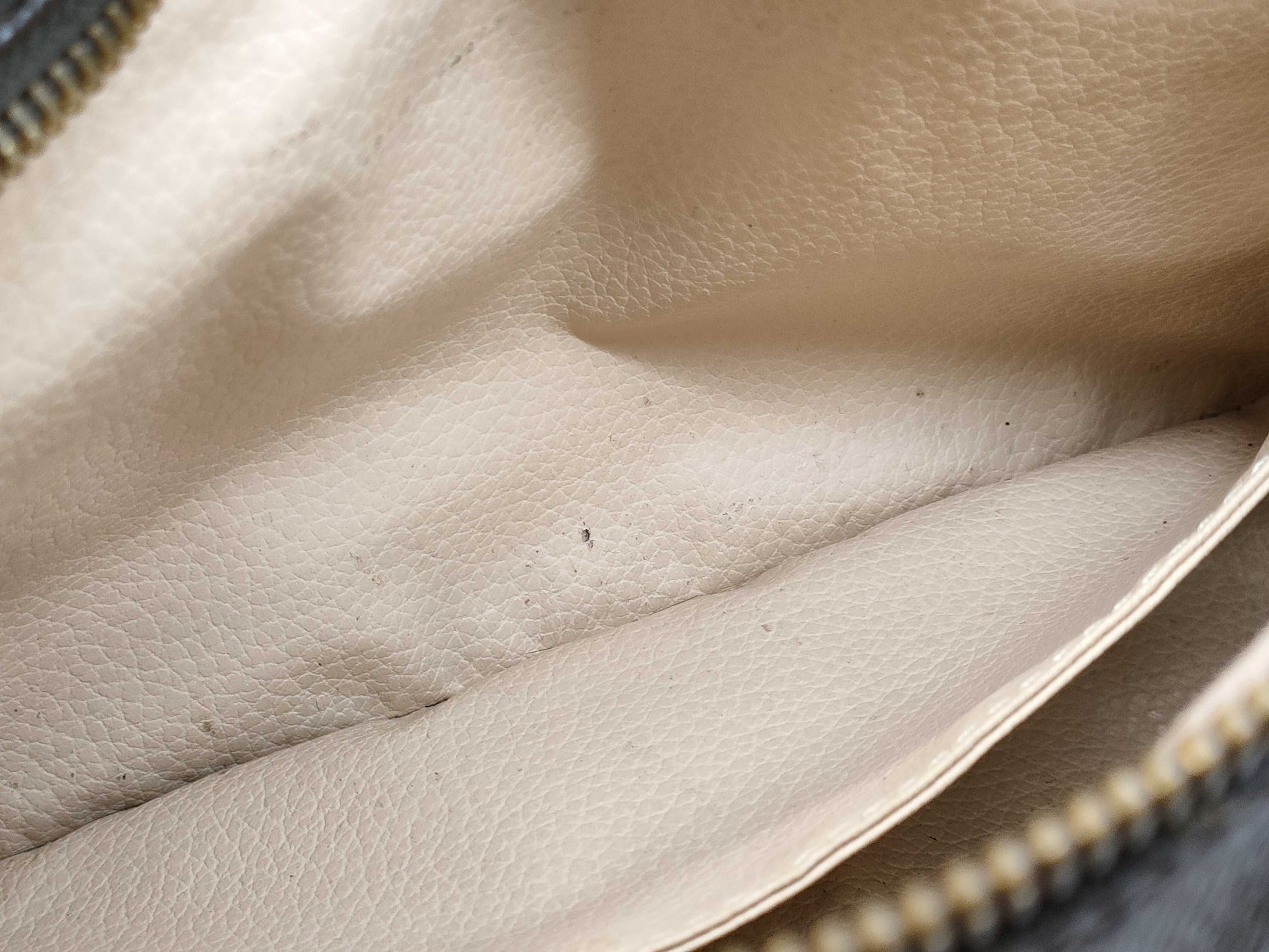 LOUIS VUITTON Monogram Truest Wallet Second Bag