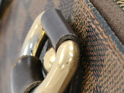 LOUIS VUITTON Damier N51183 Saleya PM Handbag