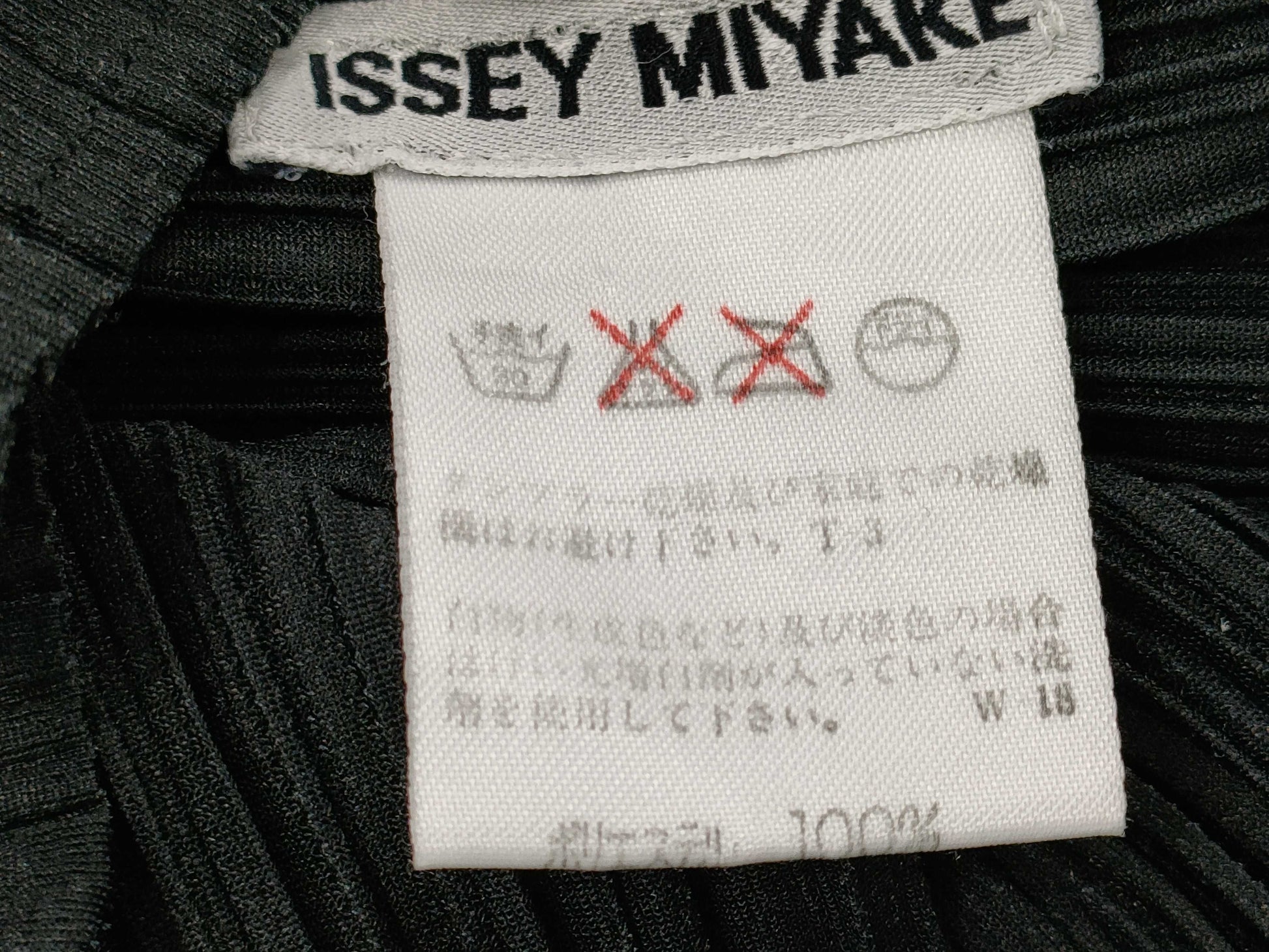 ISSEY MIYAKE black long-sleeved top
