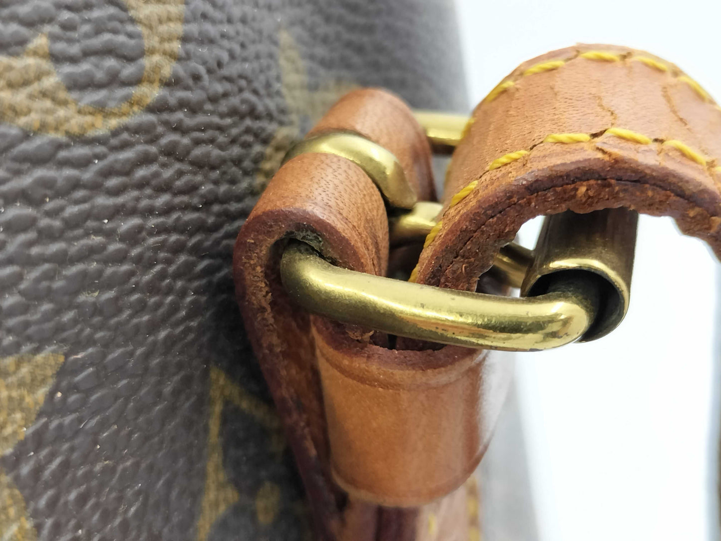 LOUIS VUITTON Monogram Bucket GM Tote Bag