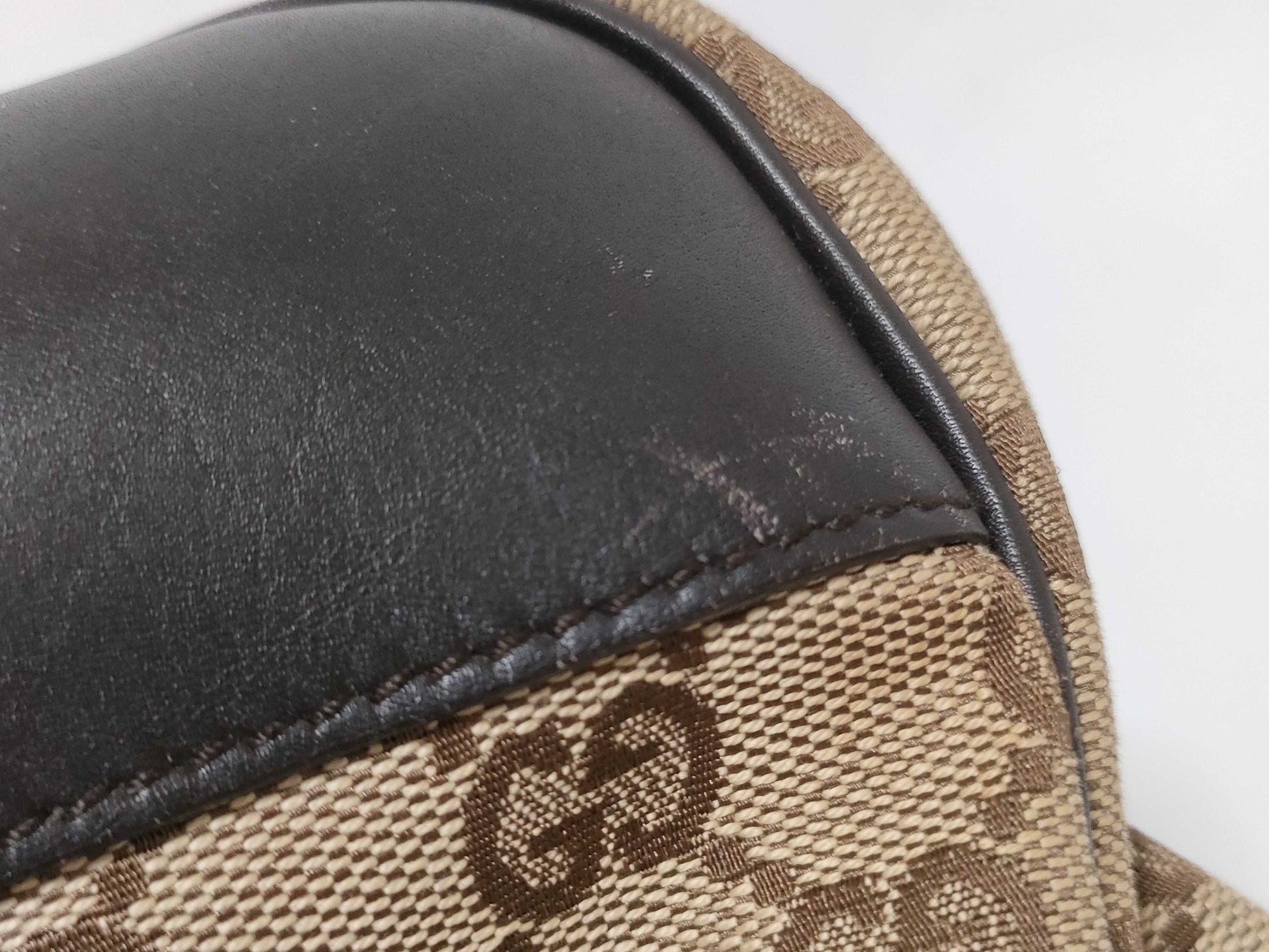 GUCCI 134931 GG Canvas Dog Carrier Tote Bag