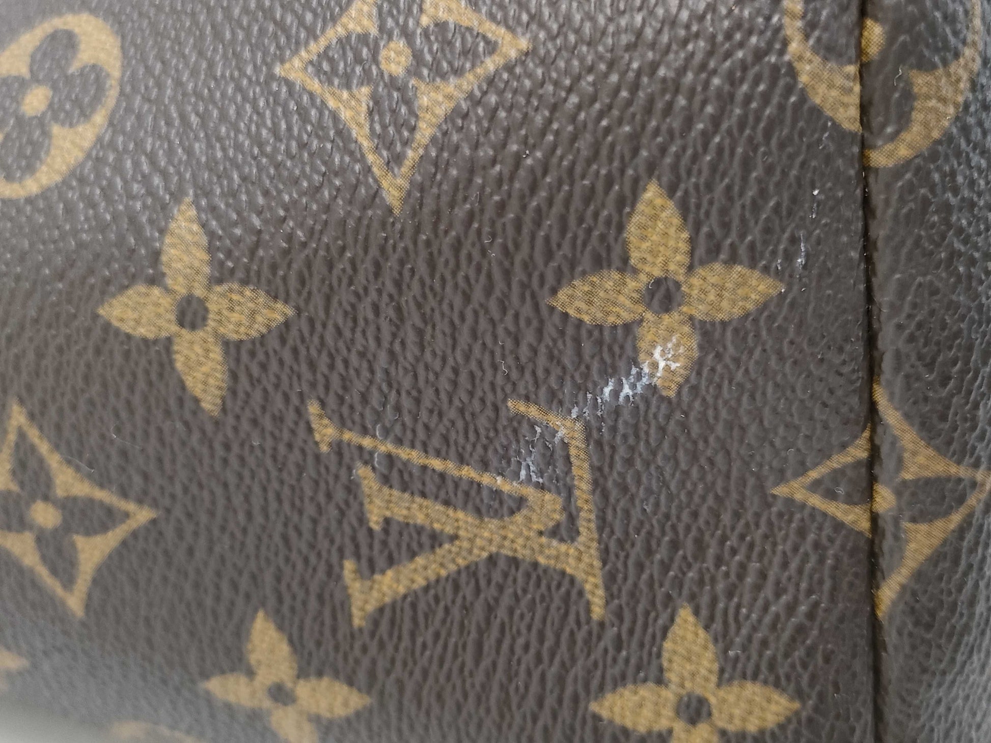 LOUIS VUITTON Monogram Totally Tote Bag