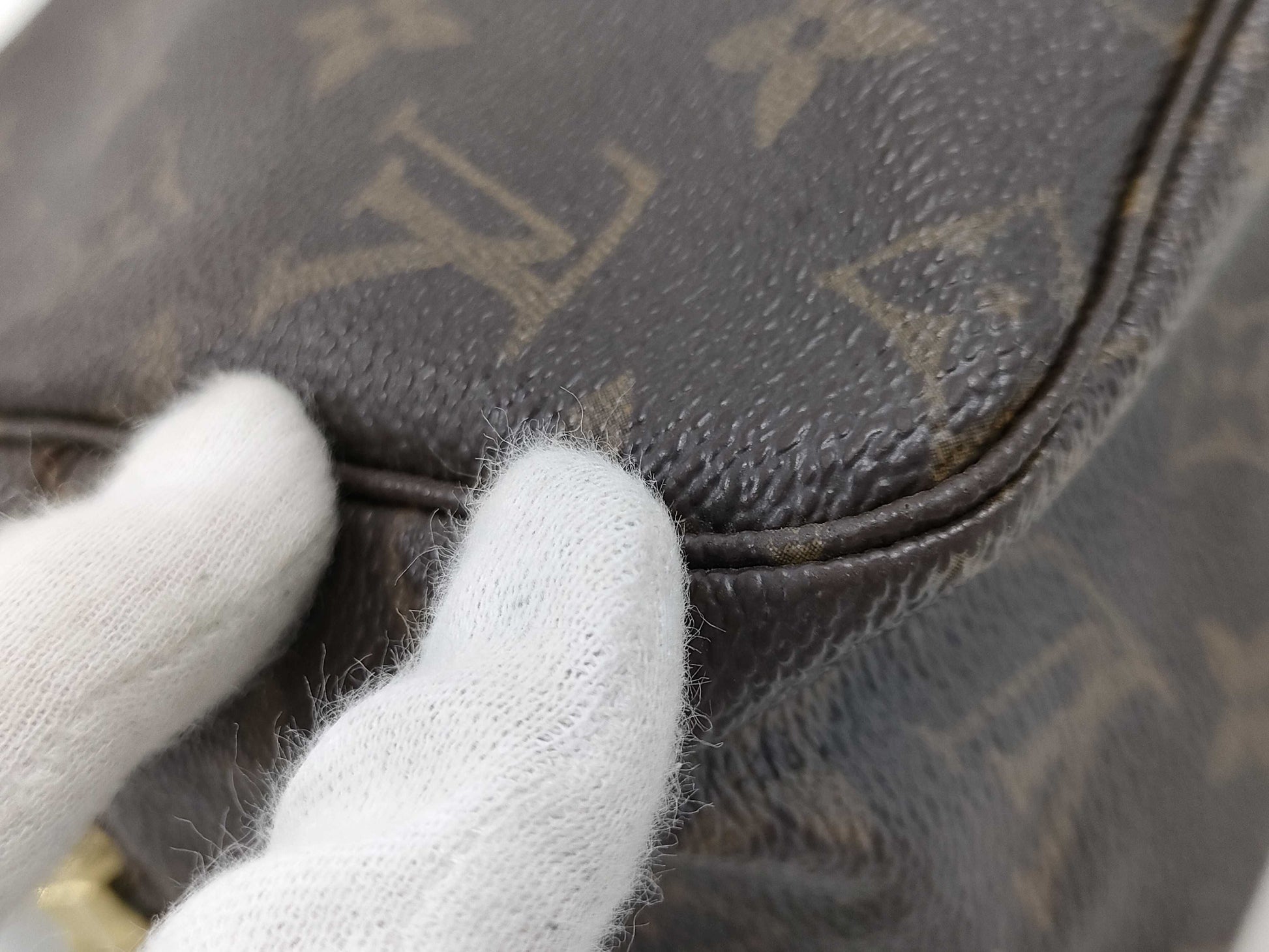 LOUIS VUITTON Monogram True Toilet Pouch