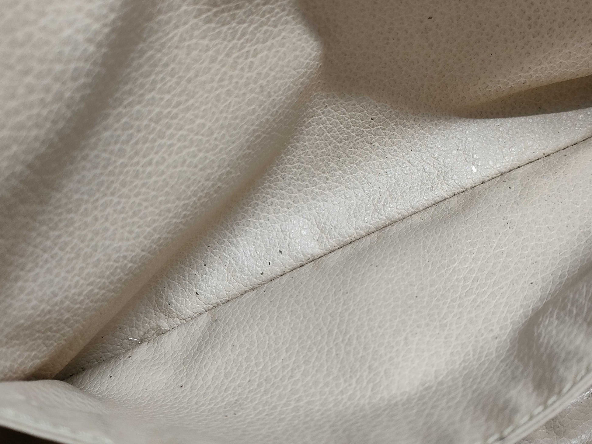 LOUIS VUITTON Monogram True Toilet Pouch