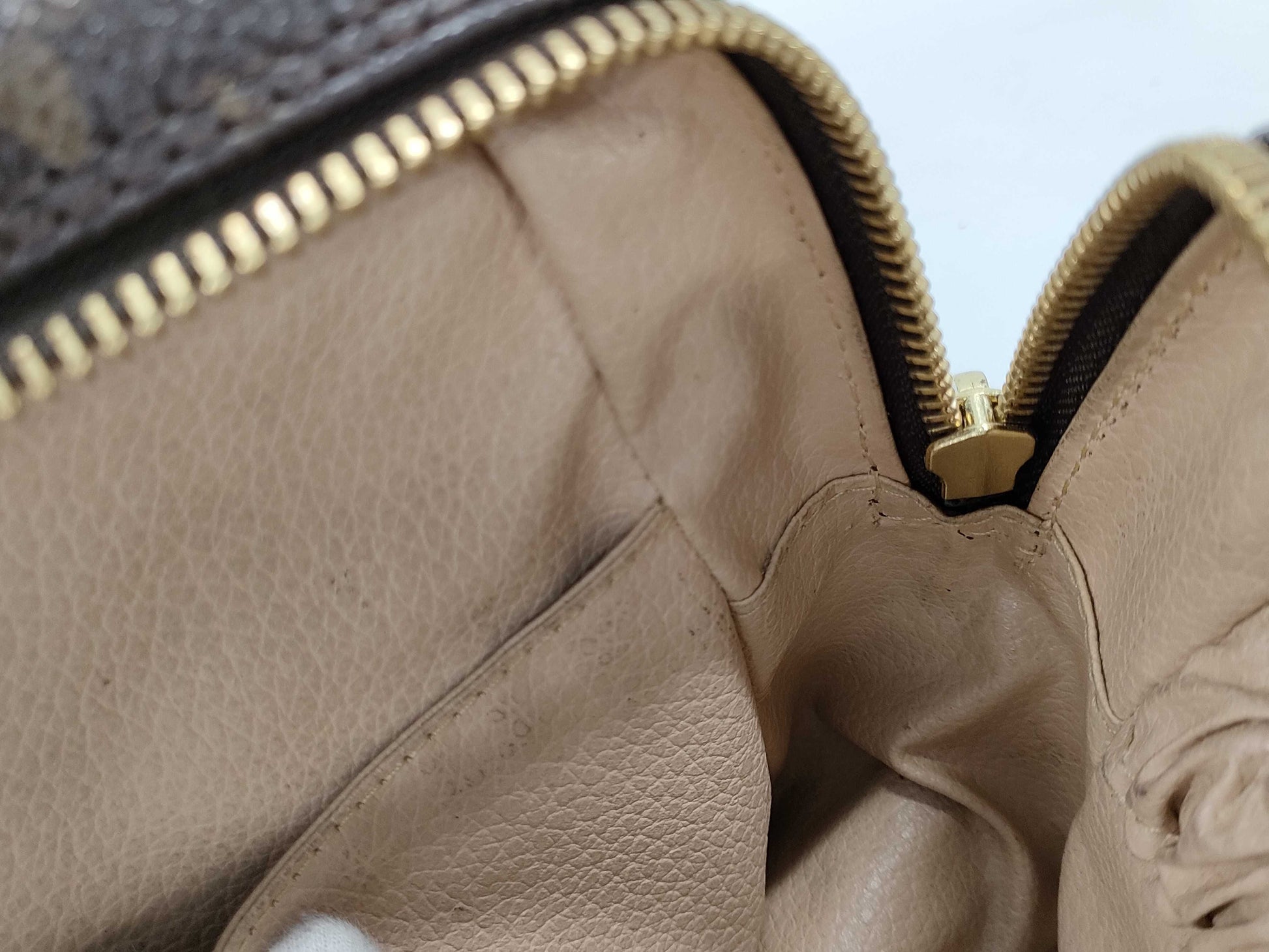LOUIS VUITTON Monogram True Toilet Pouch
