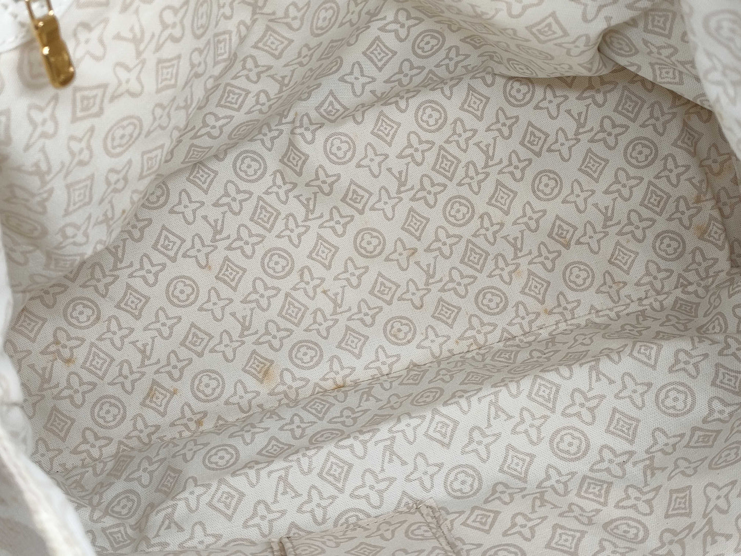 LOUIS VUITTON Taisienne PM Handbag with Stain