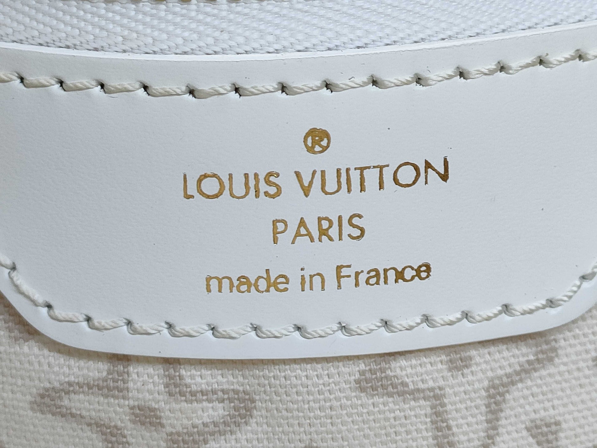 LOUIS VUITTON Taisienne PM Handbag with Stain