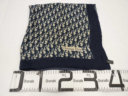 Dior Chiffon Scarf *1 Scarf