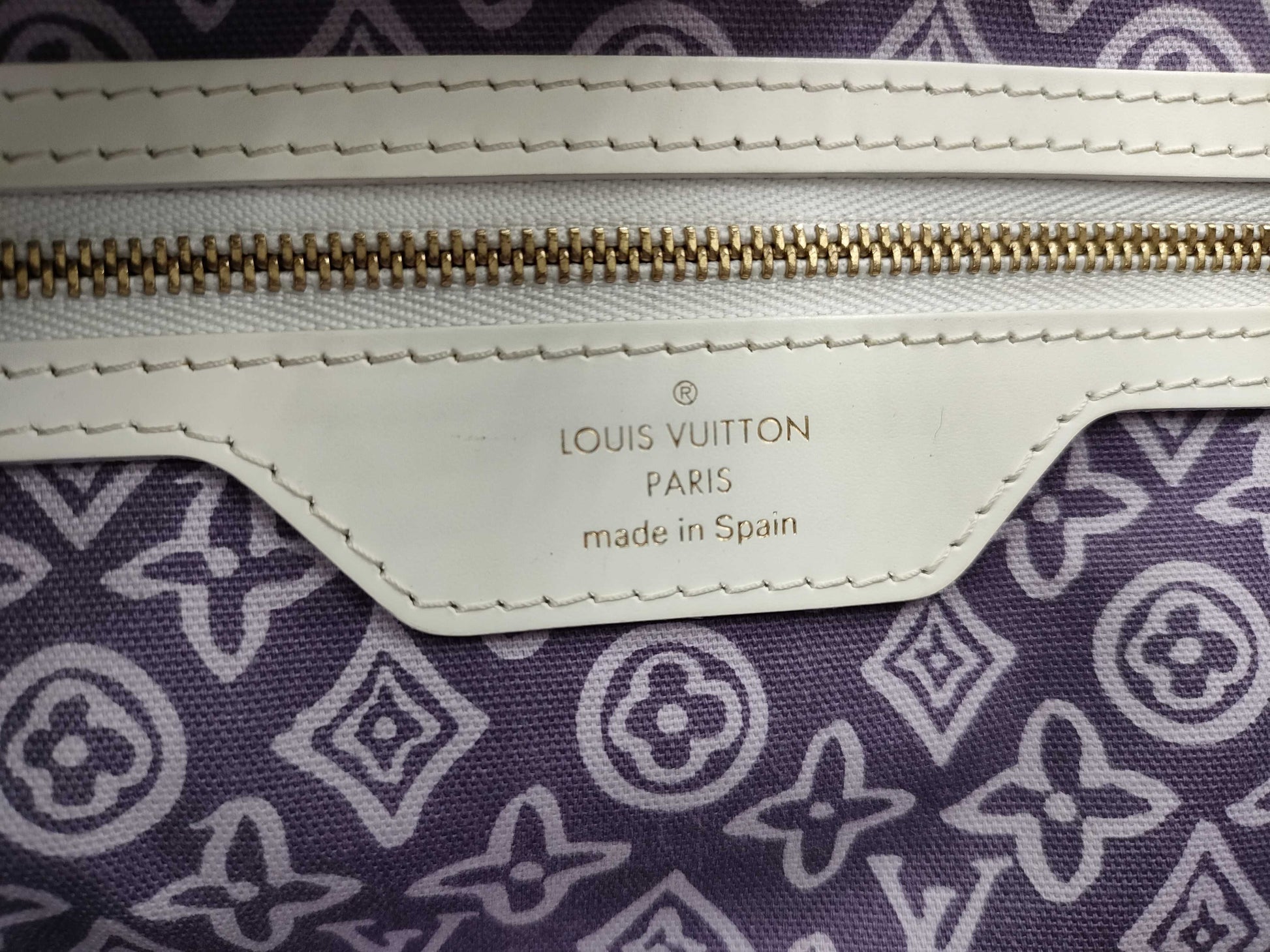 LOUIS VUITTON Cruise Line Taisienne PM Handbag