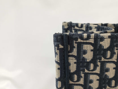Dior Trotter Medium Tote Bag