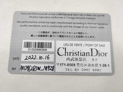 Dior Trotter Medium Tote Bag