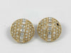 Dior Earrings Earrings