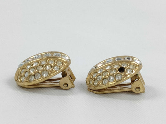 Dior Earrings Earrings