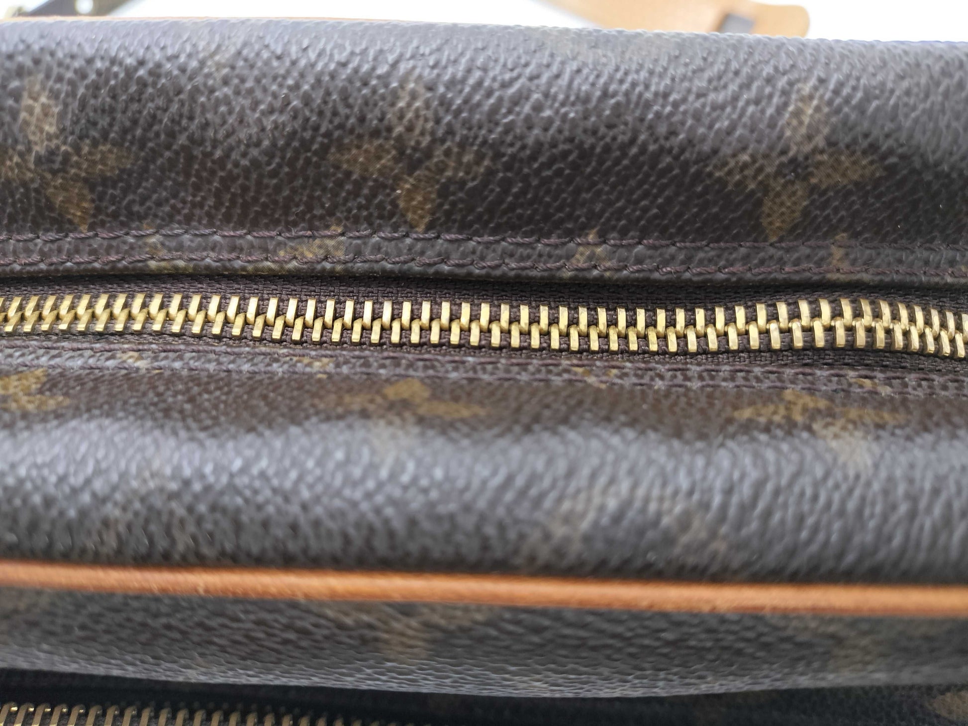 LOUIS VUITTON Monogram M45244 Nile Shoulder Bag