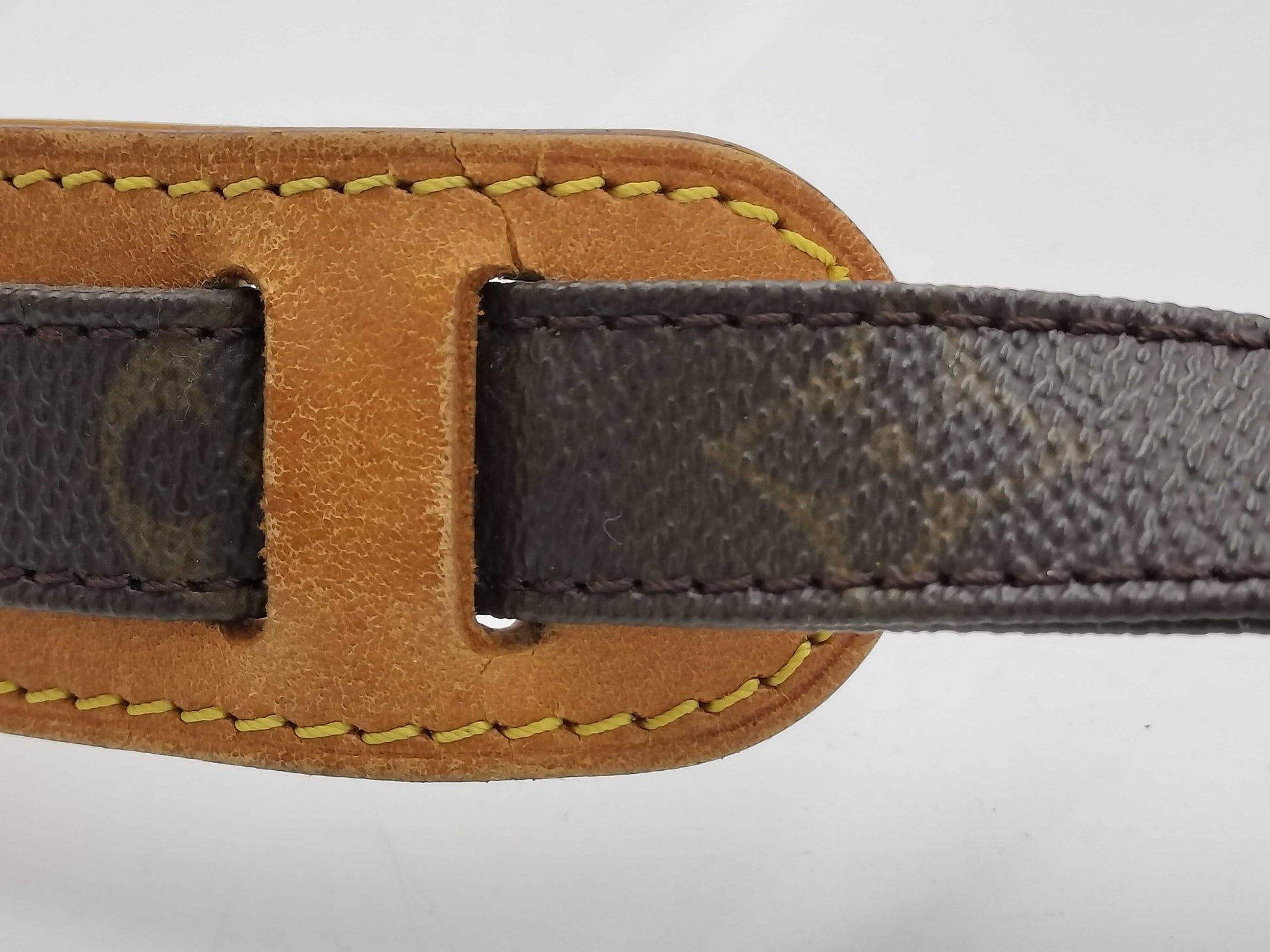LOUIS VUITTON Monogram M45244 Nile Shoulder Bag