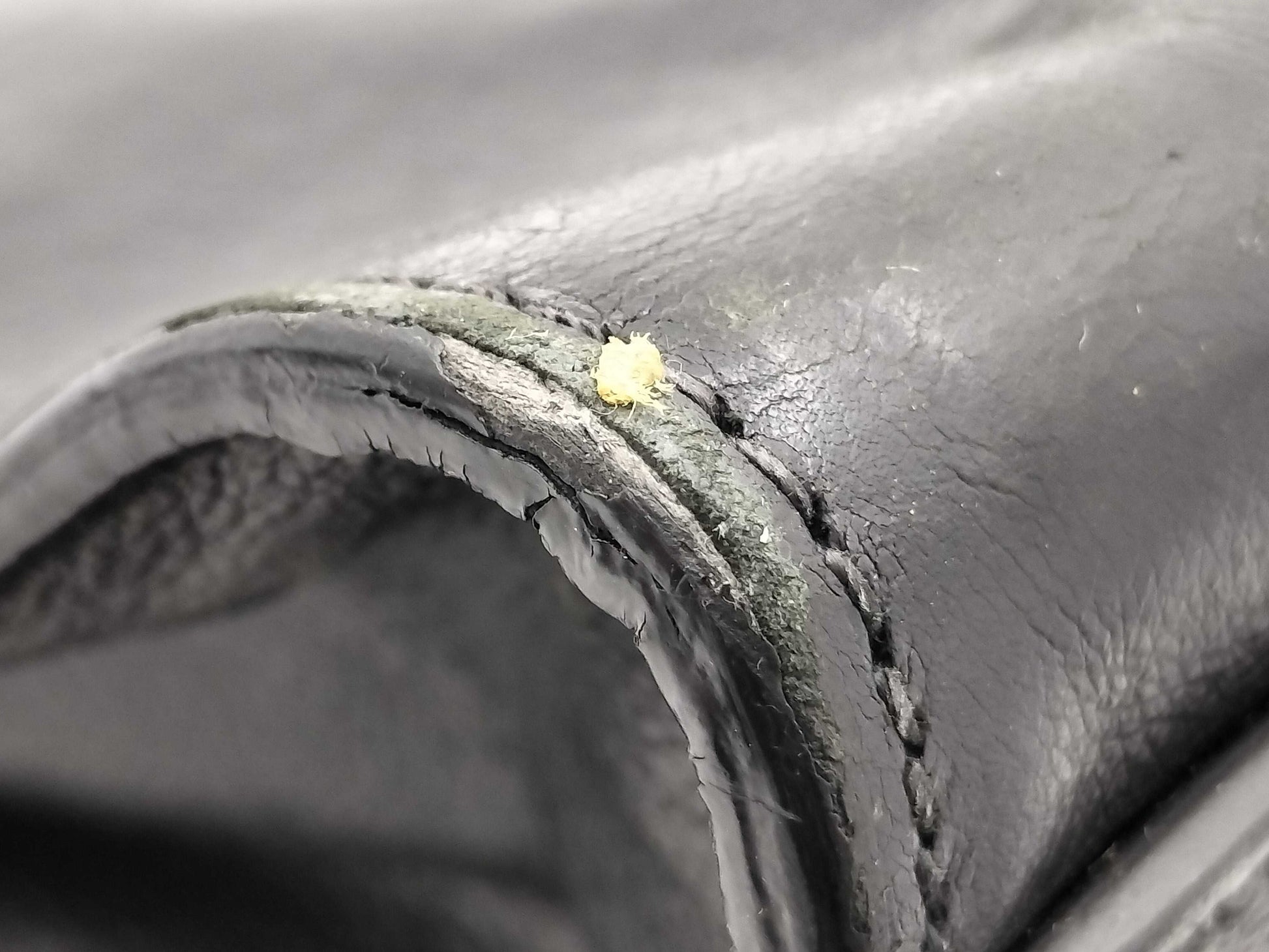PRADA 2-way Hand BN2619 Tote Bag
