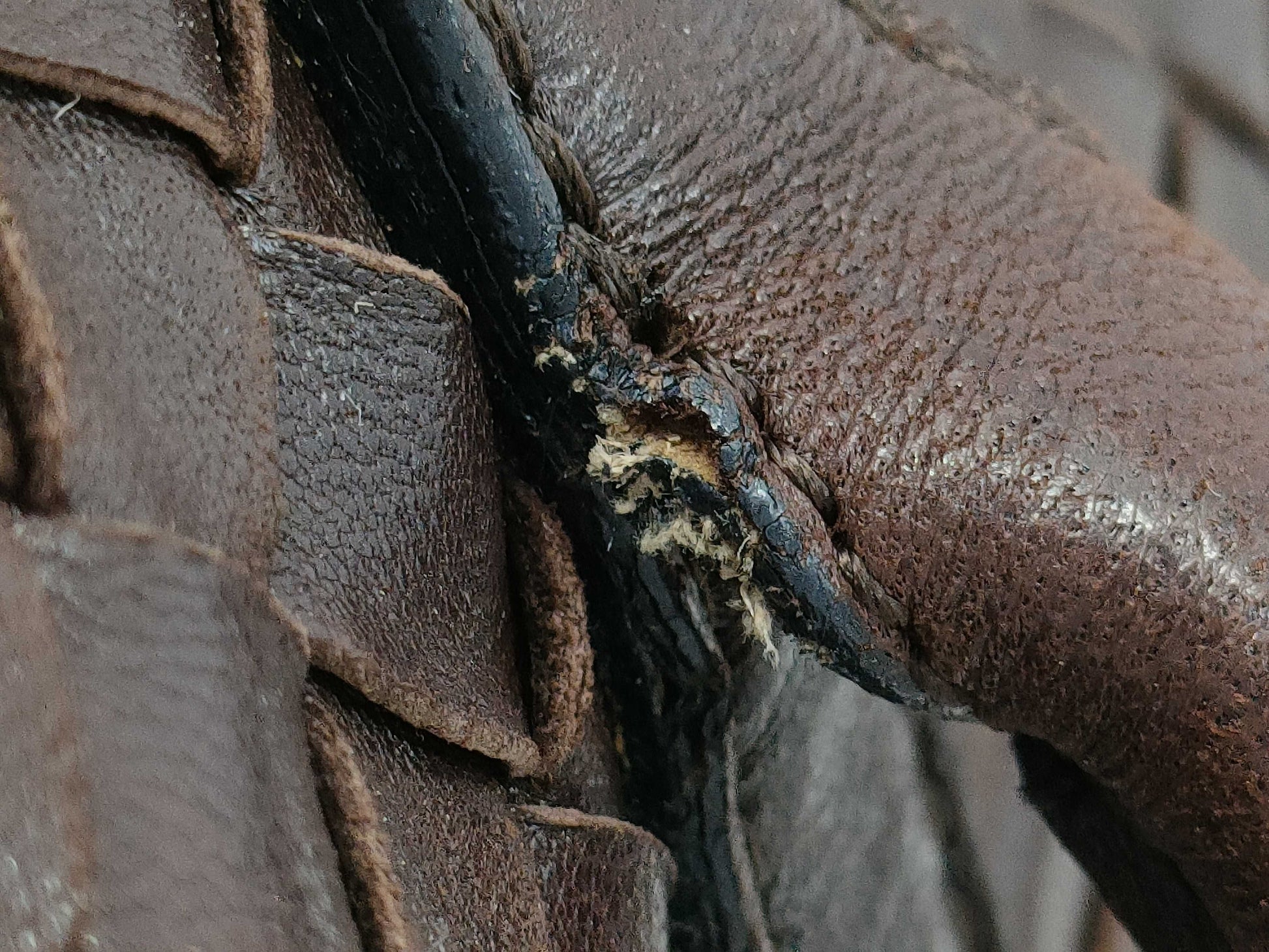 BOTTEGA VENETA Intrecciato Handbag