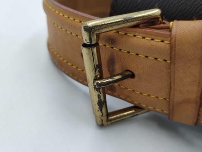 LOUIS VUITTON Monogram M51163 Viva Cite GM Shoulder Bag