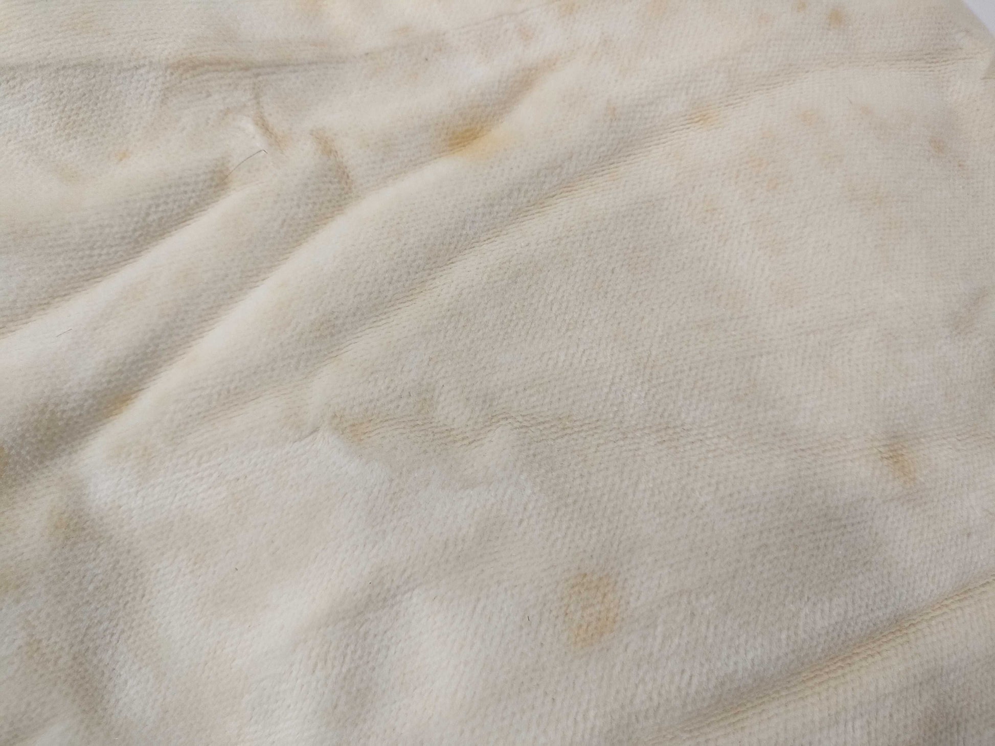 BURBERRY Cotton Sheets and Other Accessories