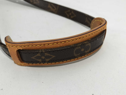 LOUIS VUITTON Monogram Amazon Shoulder Bag