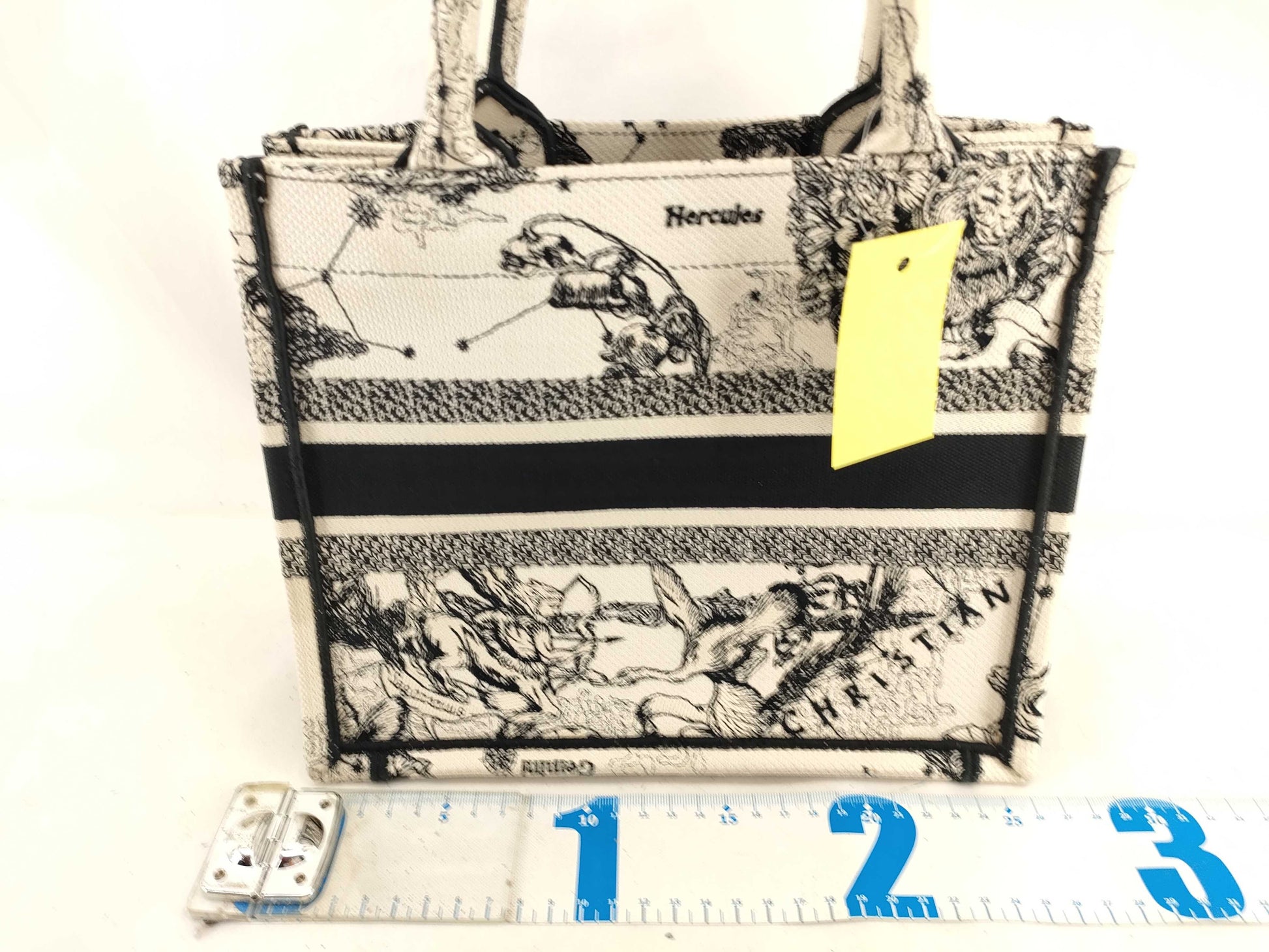 (10460_0337) Dior Embroidered Toile de Jouy Zodiac Handbag