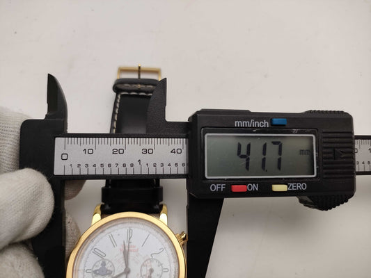  Vivienne Westwood VW 2899 Men's Watch