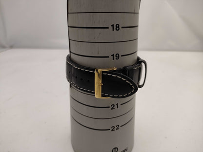  Vivienne Westwood VW 2899 Men's Watch