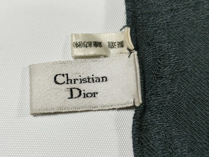 Dior Stole Other Accessories