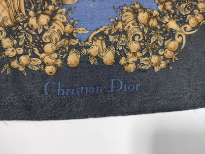 Dior Stole Other Accessories