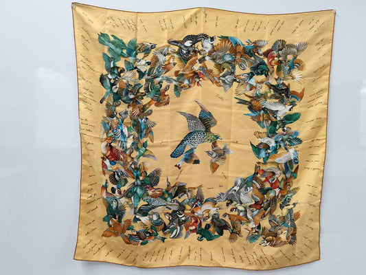 (10462_0087) HERMES Carre-90 Intruder Scarf
