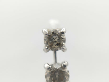 D0.20ct Pt900 0.5g Earrings 