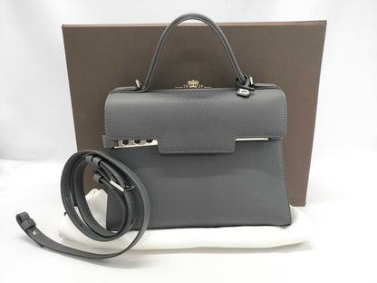 Delvaux MM/Gray Handbag