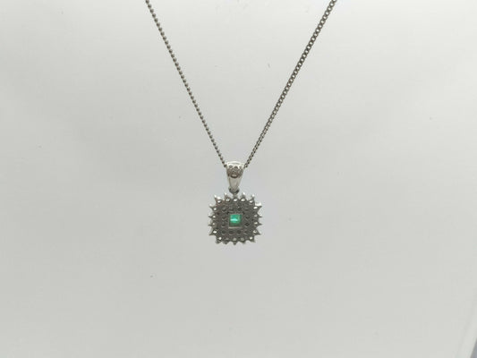 E0.09ct D0.20ct Pt900/850 5.3g Necklace 