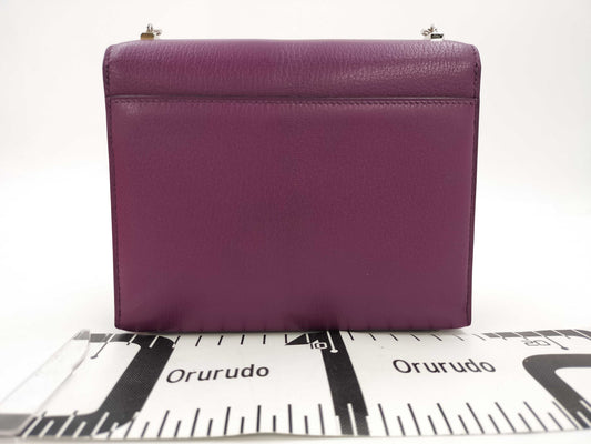 HERMES Velu Anemone Silver Hardware D Engraved Shoulder Bag