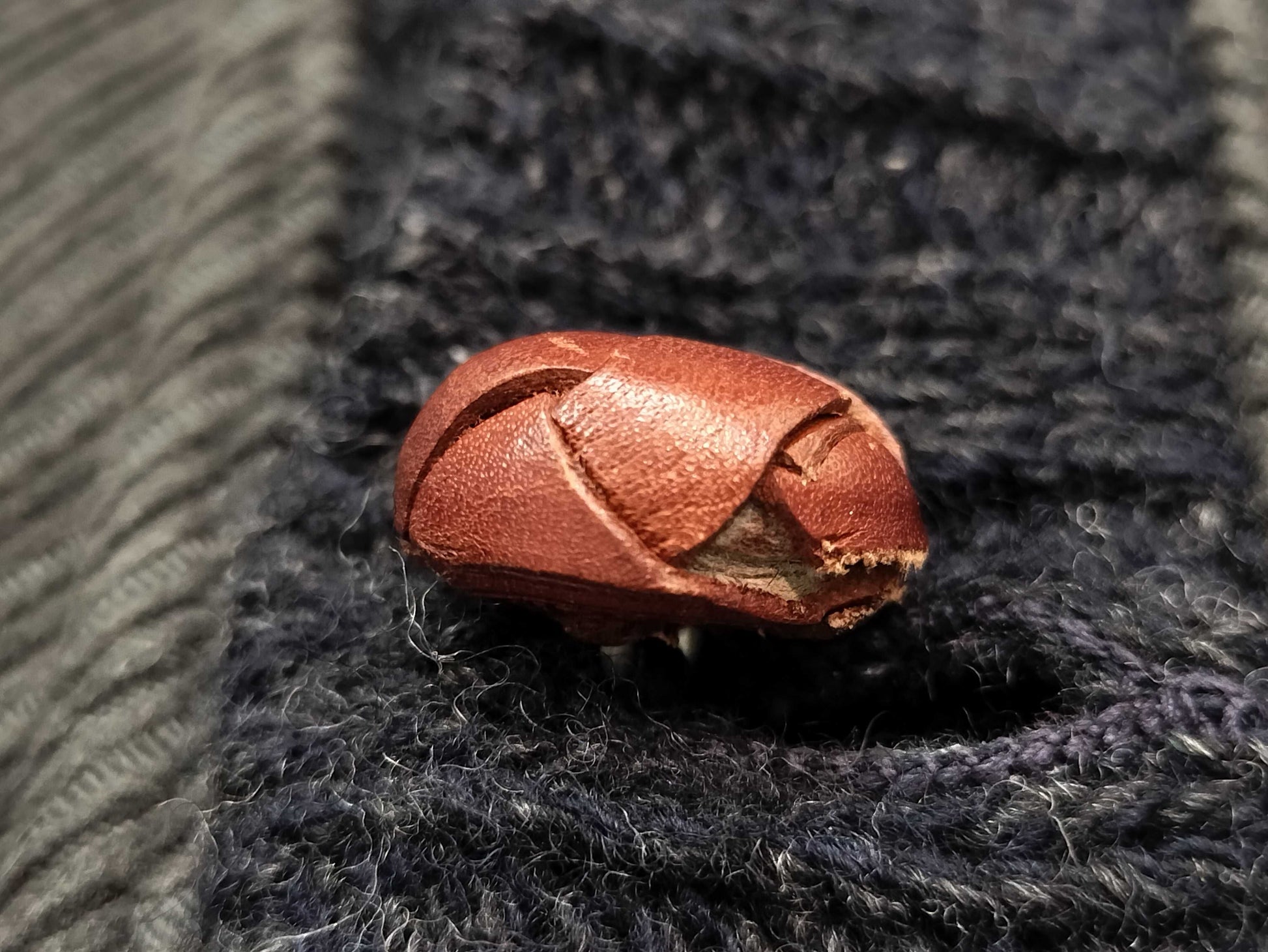 DOLCE&GABBANA Knit Vest Button Vest