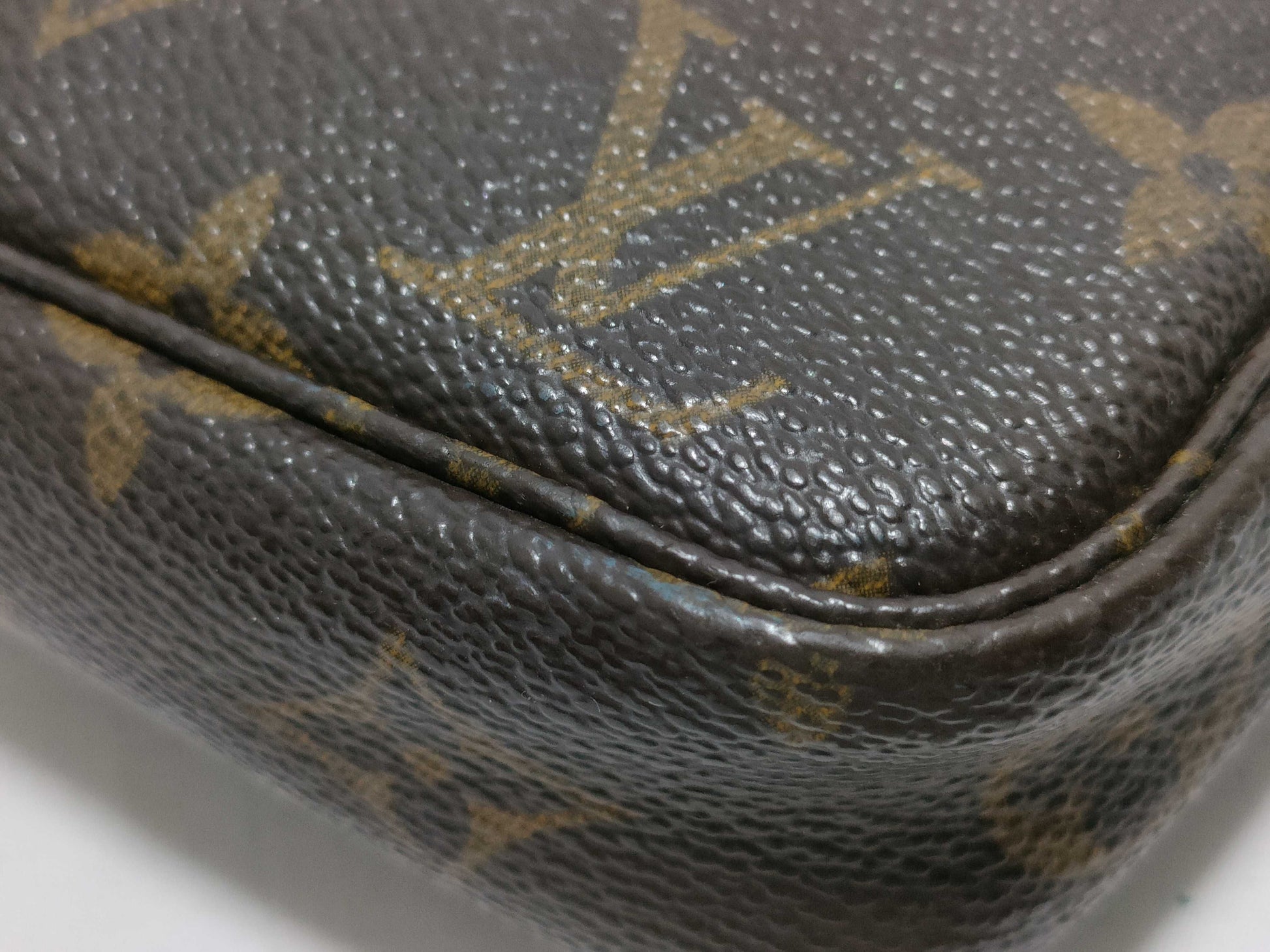 LOUIS VUITTON Monogram Accessoires Pouch