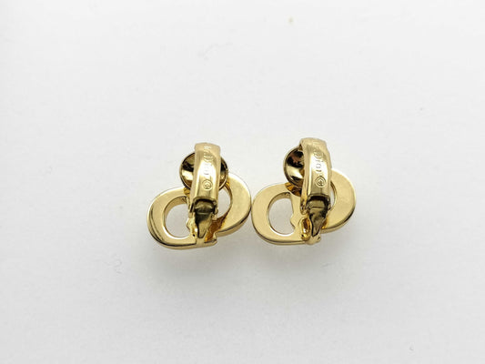 Dior Earrings Earrings