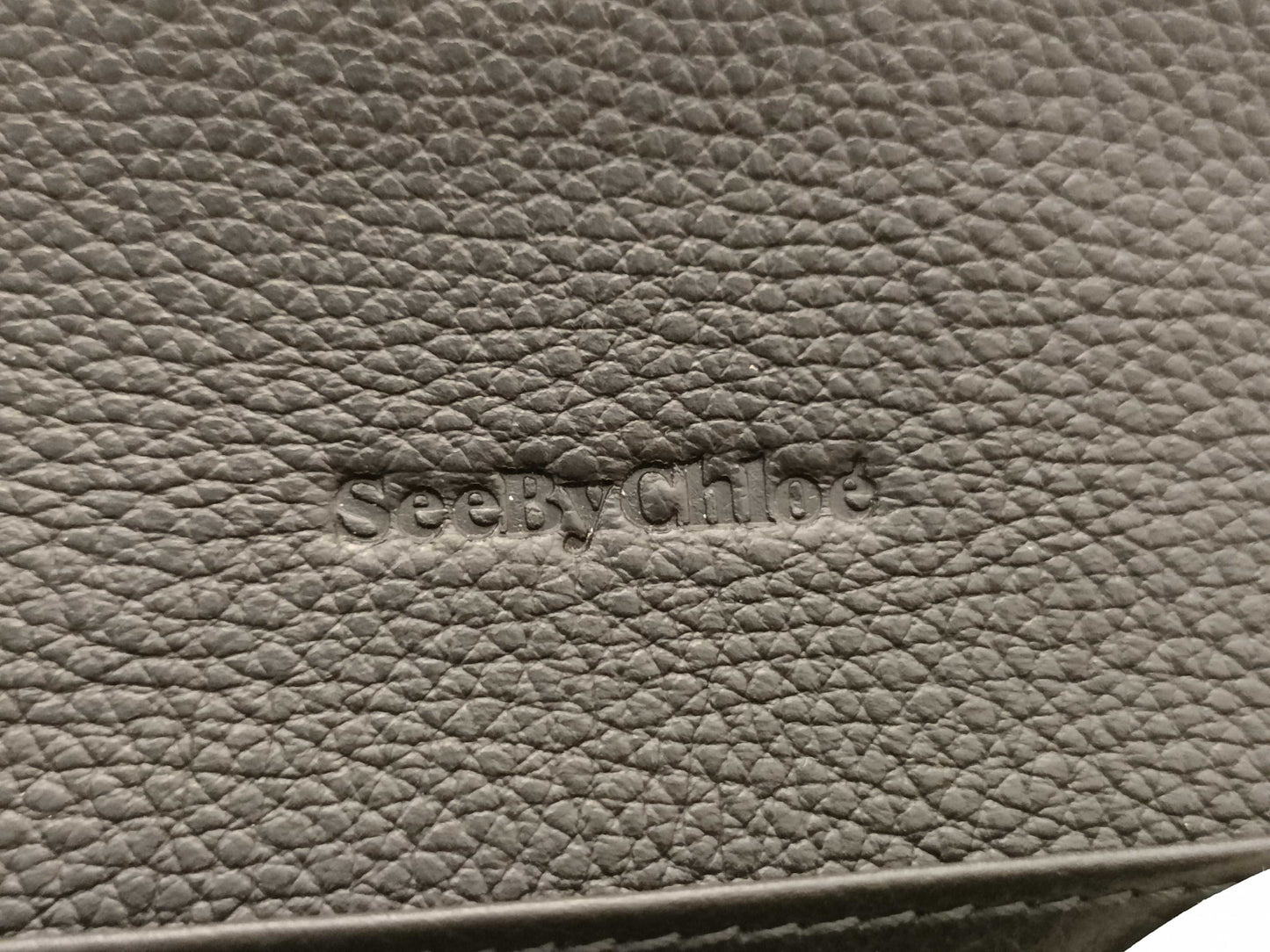 SEE BY CHLOE SeeByChloe/Marc Jacobs Long Wallet