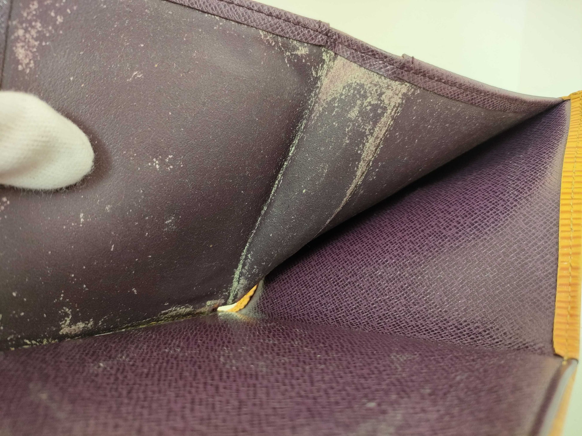 LOUIS VUITTON Epi Wallet * Pass Case Wallet