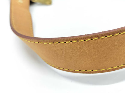 LOUIS VUITTON Monogram M56383 Thames GM Shoulder Bag