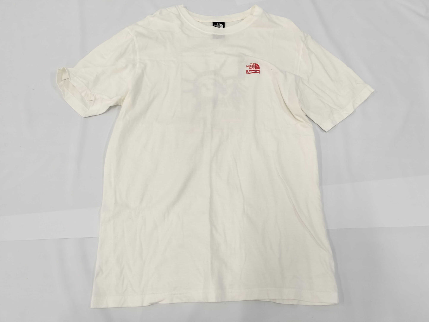 Supreme The North Face T-shirt NT819051 T-shirt