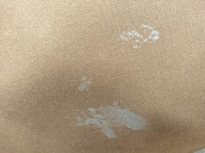 LOUIS VUITTON Monogram M23294 Pegas 55 Carry Bag