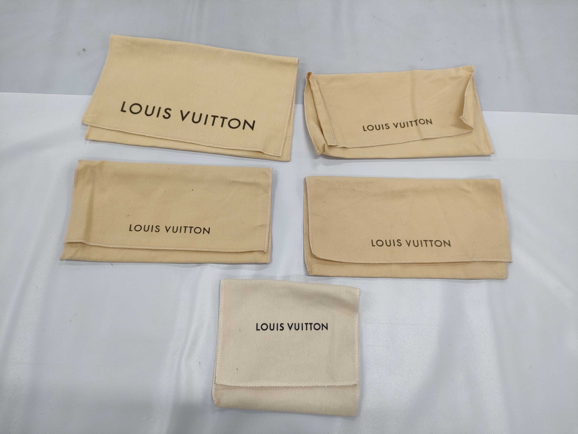 LOUIS VUITTON storage bag set Other accessories