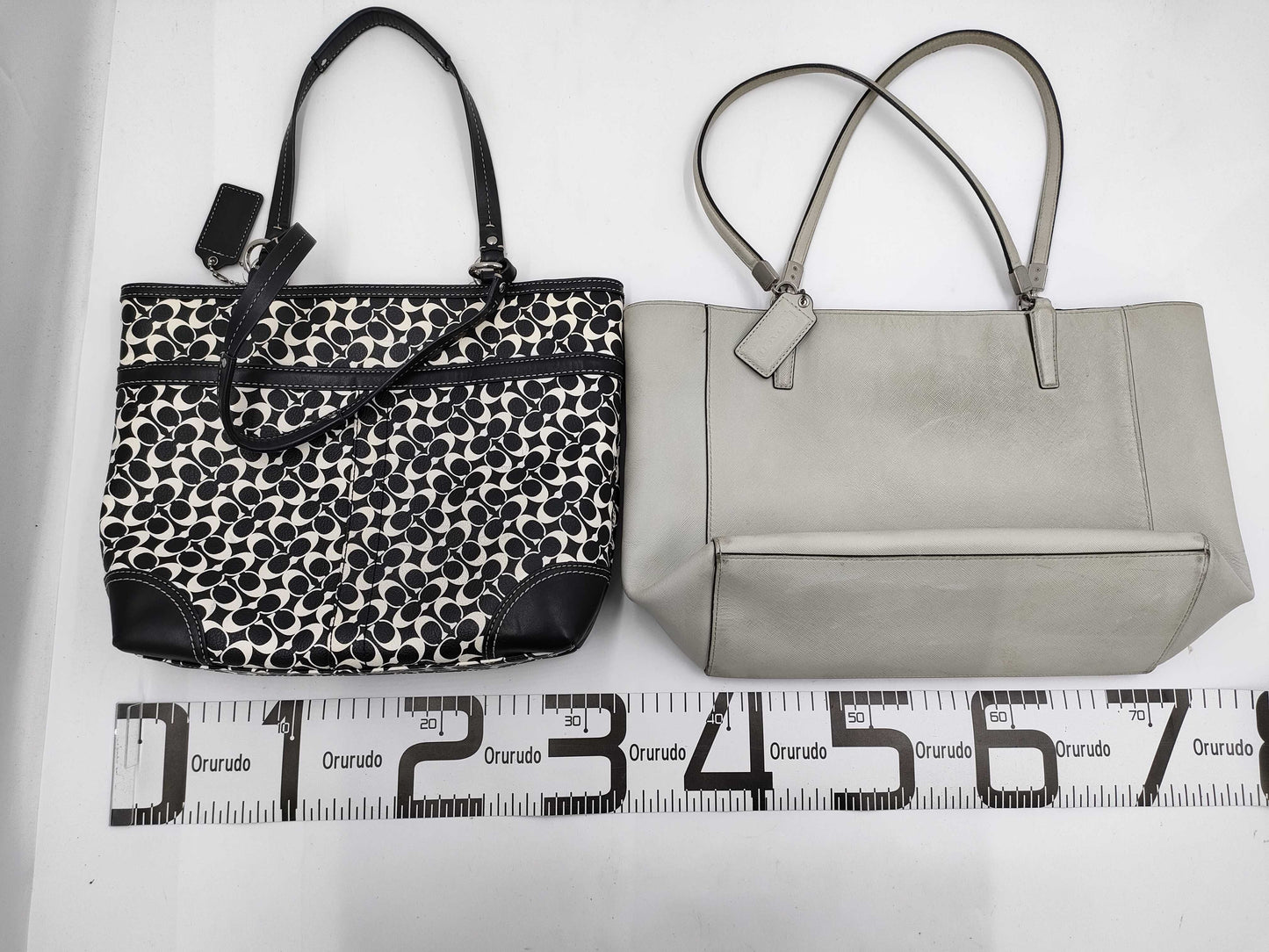 COACH Signature 2-Piece Bag Set