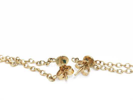 LOUIS VUITTON earrings