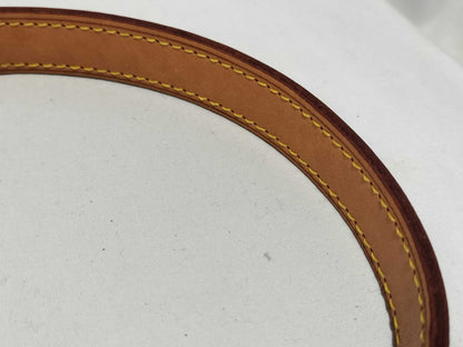 LOUIS VUITTON Vernis Sullivan Vertical Shoulder Bag