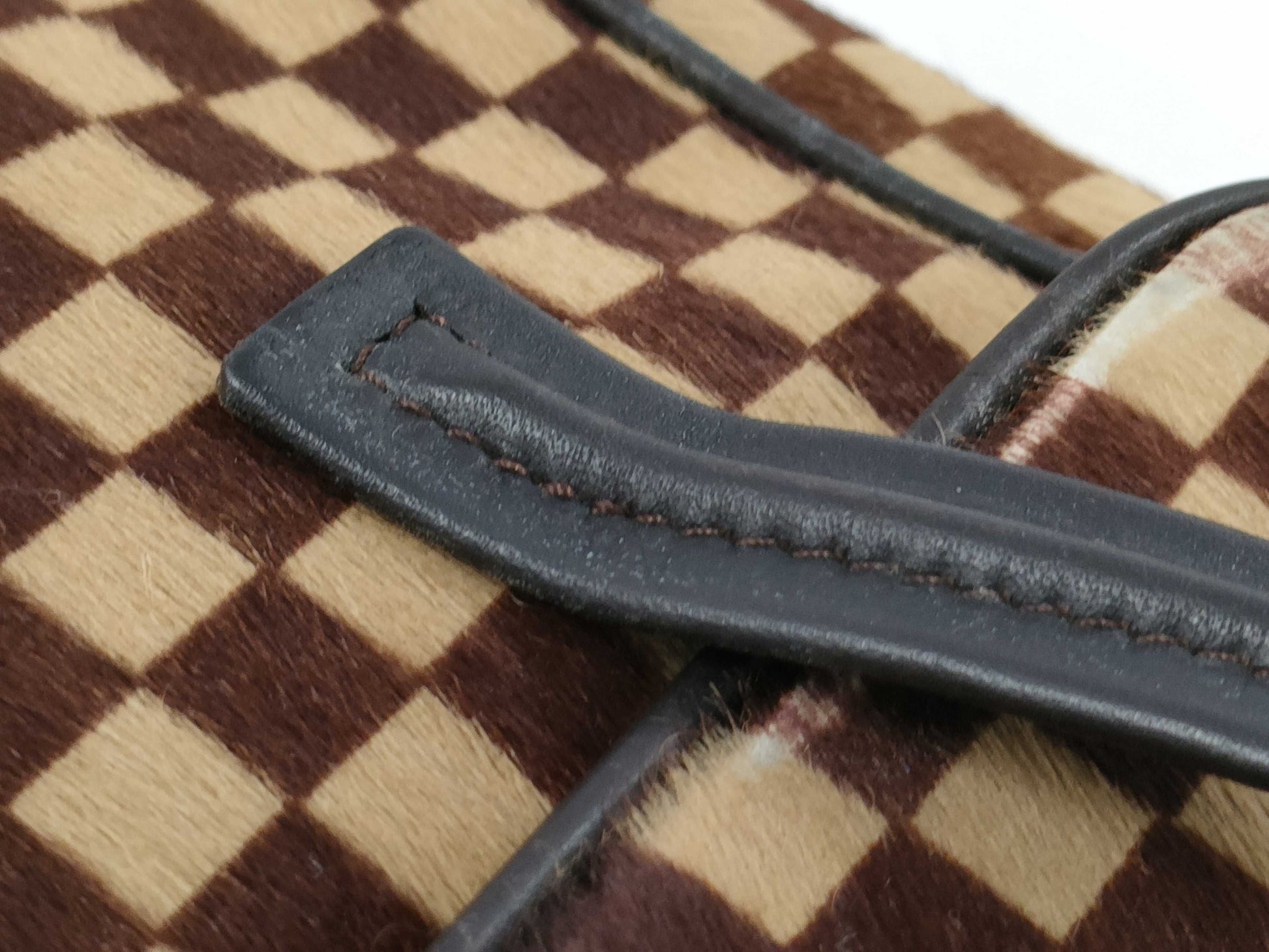 LOUIS VUITTON Damier Sauvage Lion Handbag