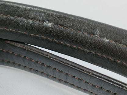 LOUIS VUITTON Damier Sauvage Lion Handbag